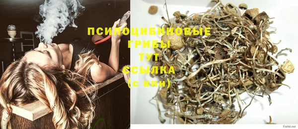 скорость Бронницы