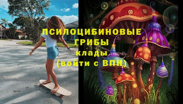 скорость Бронницы