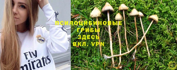 твердый Бугульма