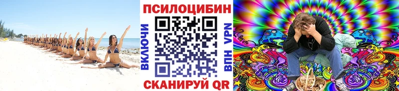 Псилоцибиновые грибы GOLDEN TEACHER Кувандык