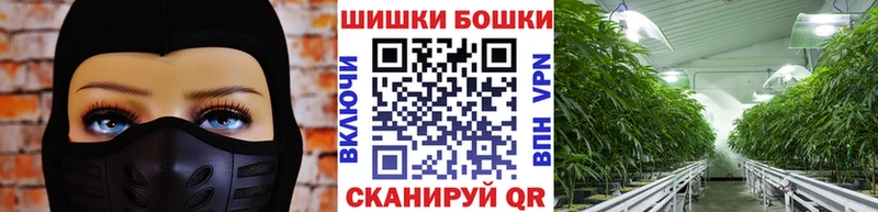 Бошки марихуана индика Кувандык